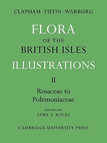 Stock image for Flora of the British Isles 4 Volume Paperback Set: Flora of the British Isles: Illustrations: Part 2 for sale by Chiron Media
