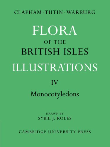 Stock image for Flora of the British Isles 4 Volume Paperback Set: Flora of the British Isles: Illustrations IV Monocotyledons: Volume 4 for sale by AwesomeBooks