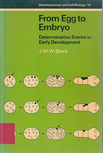9780521273299: From Egg to Embryo: Determinative Events in Early Development (Developmental and Cell Biology Series, Series Number 13)
