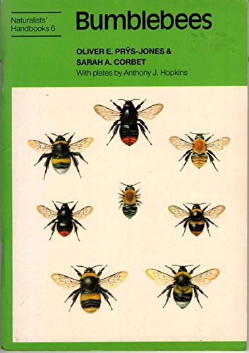 Imagen de archivo de Bumblebees a la venta por WorldofBooks