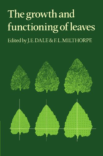Stock image for The Growth and Functioning of Leaves: Proceedings of a Symposium Held Prior to the Thirteenth International Botanical Congress at the University of Sydney, 18-20 August, 1981 for sale by Lucky's Textbooks