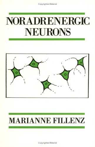 9780521287807: Noradrenergic Neurons