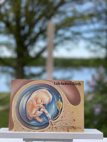 Stock image for Life Before Birth for sale by HPB-Ruby