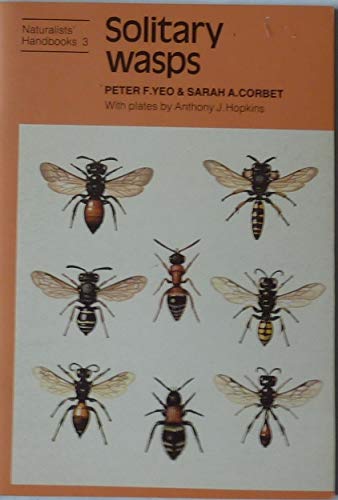 Stock image for Solitary Wasps (Naturalists' Handbooks 3) for sale by The Mill Bookshop