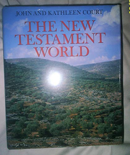 Stock image for The New Testament World for sale by AwesomeBooks