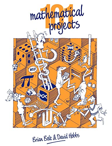 Beispielbild fr 101 Mathematical Projects zum Verkauf von Wonder Book