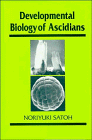 Stock image for Developmental Biology of Ascidians for sale by BookHolders