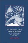 Working-Class Americanism: The Politics of Labor in a Textile City, 1914â€“1960 (Interdisciplinary Perspectives on Modern History) (9780521361316) by Gerstle, Gary