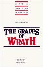 Stock image for New Essays on The Grapes of Wrath (The American Novel) for sale by Ergodebooks