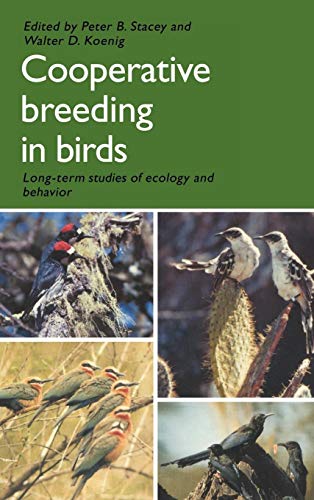 Beispielbild fr Cooperative Breeding in Birds: Long Term Studies of Ecology and Behaviour zum Verkauf von Plum Books