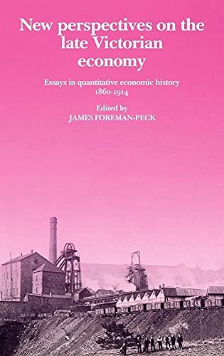 Stock image for New Perspectives on the Late Victorian Economy: Essays in Quantitative Economic History, 1860-1914 for sale by AwesomeBooks