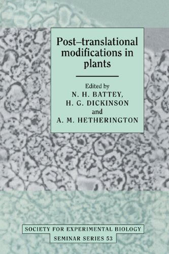 Stock image for Post-translational Modifications in Plants (Society for Experimental Biology Seminar Series) for sale by Mispah books