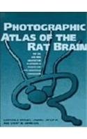 Stock image for Photographic Atlas of the Rat Brain: The Cell and Fiber Architecture Illustrated in Three Planes with Stereotaxic Coordinates for sale by Ammareal