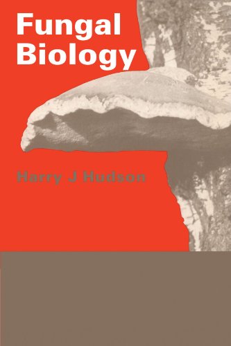 Stock image for Fungal Biology for sale by WorldofBooks