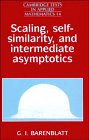 9780521435161: Scaling, Self-similarity, and Intermediate Asymptotics: Dimensional Analysis and Intermediate Asymptotics (Cambridge Texts in Applied Mathematics, Series Number 14)