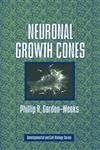 Stock image for Neuronal Growth Cones (Developmental and Cell Biology Series) for sale by The Book Bin