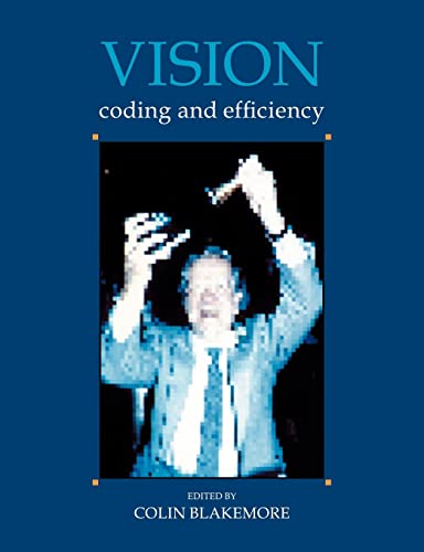 Stock image for Vision: Coding and Efficiency for sale by Phatpocket Limited