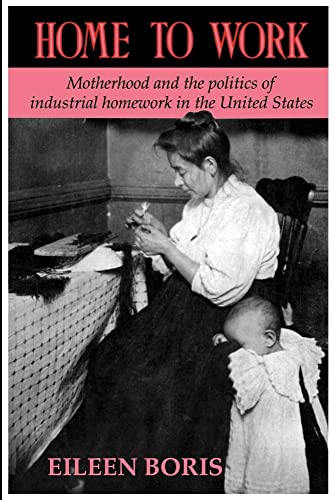 Beispielbild fr Home to Work: Motherhood and the Politics of Industrial Homework in the United States zum Verkauf von Chiron Media