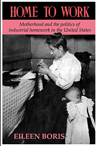 Imagen de archivo de Home to Work: Motherhood and the Politics of Industrial Homework in the United States a la venta por Chiron Media