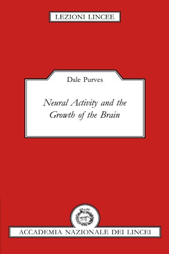 Stock image for Neural Activity and the Growth of the Brain (Lezioni Lincee) for sale by Open Books