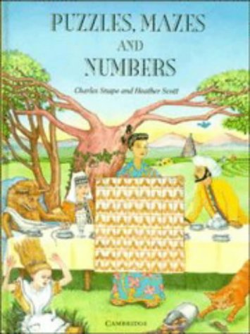 9780521465007: Puzzles, Mazes and Numbers