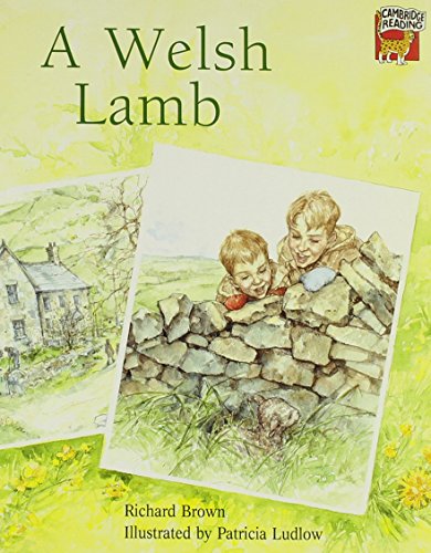 9780521468602: A Welsh Lamb (Cambridge Reading)