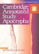 Beispielbild fr NRSV Cambridge Annotated Study Apocrypha Hardback, printed paper case NRAS zum Verkauf von WorldofBooks