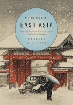 Stock image for A History of East Asia: From the Origins of Civilization to the Twenty-First Century for sale by GF Books, Inc.