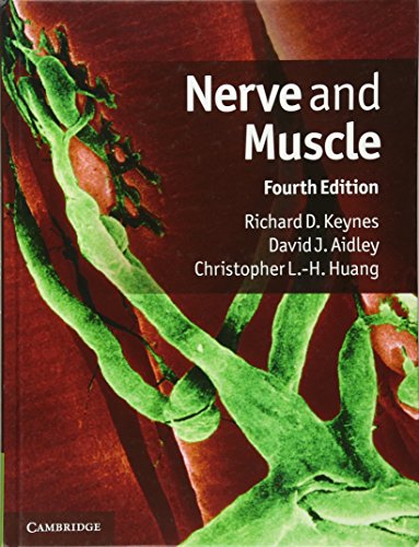 Stock image for Nerve and Muscle for sale by HPB-Emerald