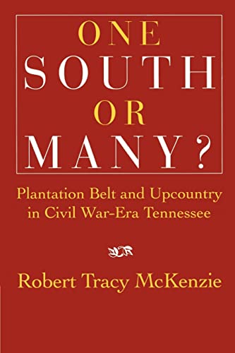 Stock image for One South or Many?: Plantation Belt and Upcountry in Civil War-Era Tennessee for sale by Magus Books Seattle