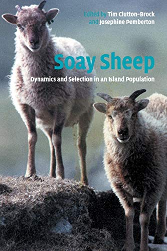 9780521529907: Soay Sheep Paperback: Dynamics and Selection in an Island Population