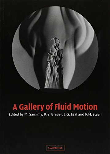 9780521535007: A Gallery of Fluid Motion