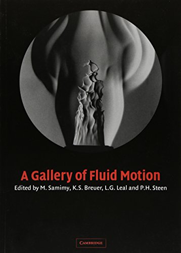 Stock image for A Gallery of Fluid Motion for sale by dsmbooks