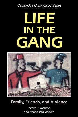 Beispielbild fr Life in the Gang : Family, Friends, and Violence zum Verkauf von Better World Books