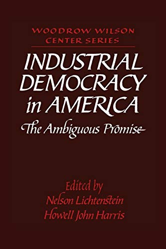 Imagen de archivo de Industrial Democracy in America: The Ambiguous Promise (Woodrow Wilson Center Press) a la venta por Benjamin Books