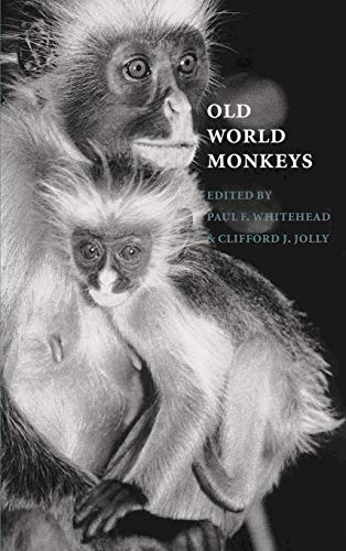 Stock image for Old World Monkeys for sale by Roundabout Books