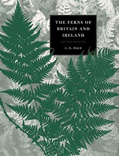 Stock image for Ferns of Britain and Ireland for sale by Better World Books Ltd