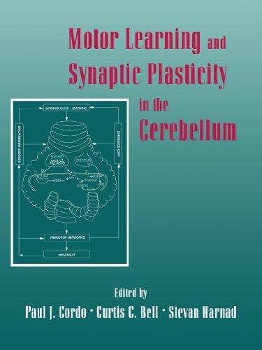 Beispielbild fr Motor Learning and Synaptic Plasticity in the Cerebellum zum Verkauf von Inquiring Minds