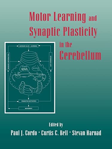 9780521597050: Motor Learning and Synaptic Plasticity in the Cerebellum Paperback