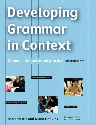 Stock image for Developing Grammar in Context Intermediate without answers: Grammar Reference and Practice for sale by AwesomeBooks