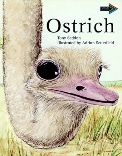 Ostrich South African edition (Cambridge Reading Routes) (9780521636674) by Seddon, Tony