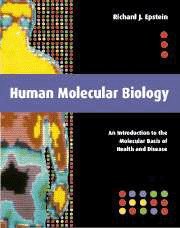 Human Molecular Biology: An Introduction to the Molecular Basis of Health and Disease - Epstein, Richard J.