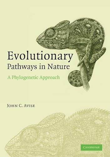 Beispielbild fr Evolutionary Pathways in Nature : A Phylogenetic Approach zum Verkauf von Better World Books