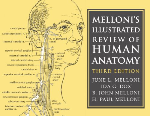 Imagen de archivo de Melloni's Illustrated Review of Human Anatomy a la venta por Ergodebooks