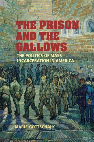 The Prison and the Gallows: The Politics of Mass Incarceration in America (Cambridge Studies in C...