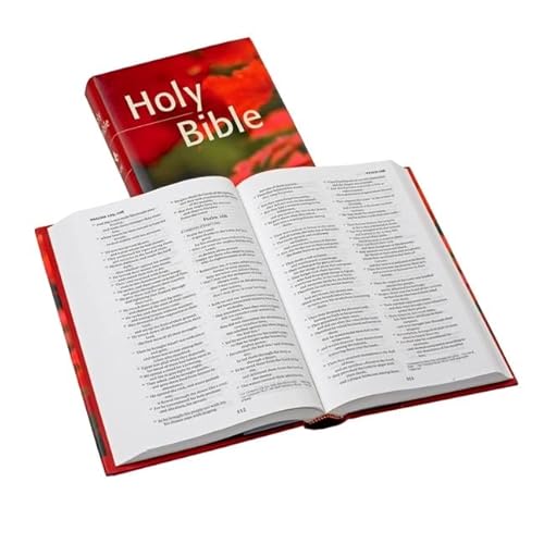 Beispielbild fr NRSV Popular Text Anglicized Red Hardcover NR530T zum Verkauf von MusicMagpie