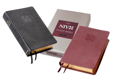 9780521708050: NIV Study Bible N1686:XRS burgundy goatskin leather