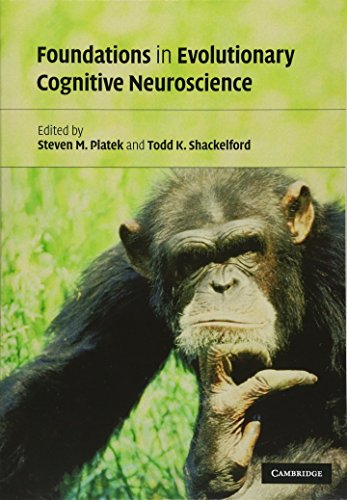 Imagen de archivo de Foundations in Evolutionary Cognitive Neuroscience a la venta por HPB-Red