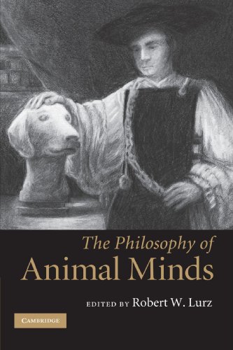 Stock image for The Philosophy of Animal Minds for sale by Ergodebooks