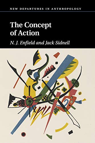 Imagen de archivo de The Concept of Action (New Departures in Anthropology) a la venta por WorldofBooks